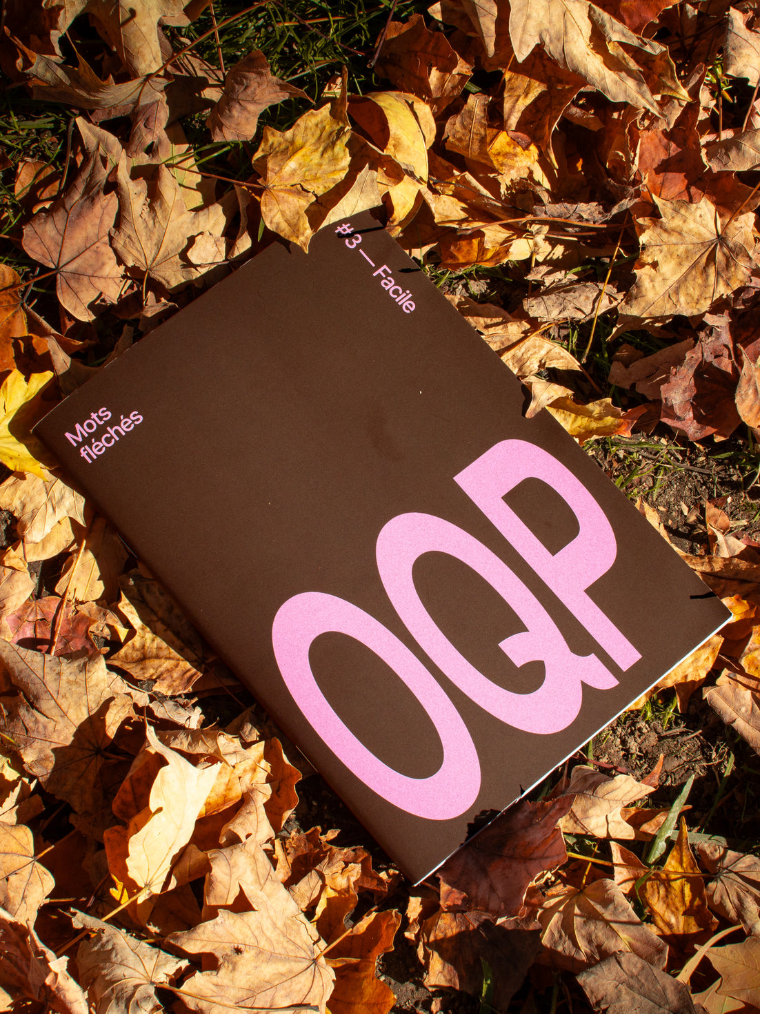 Mots fléchés OQP #3