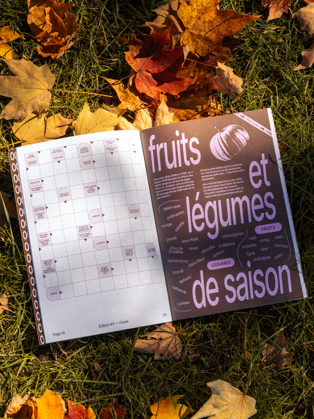 Mots fléchés OQP #3
